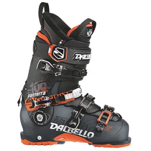 Duis tincidunt fringilla sodales